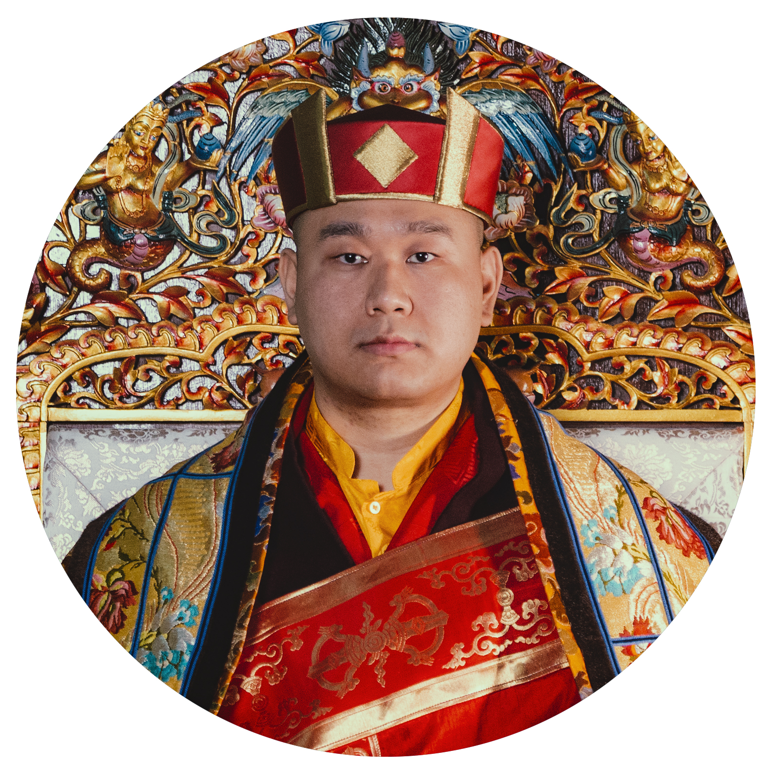 Jamgon Kongtrul Rinpoche, European tour 2026